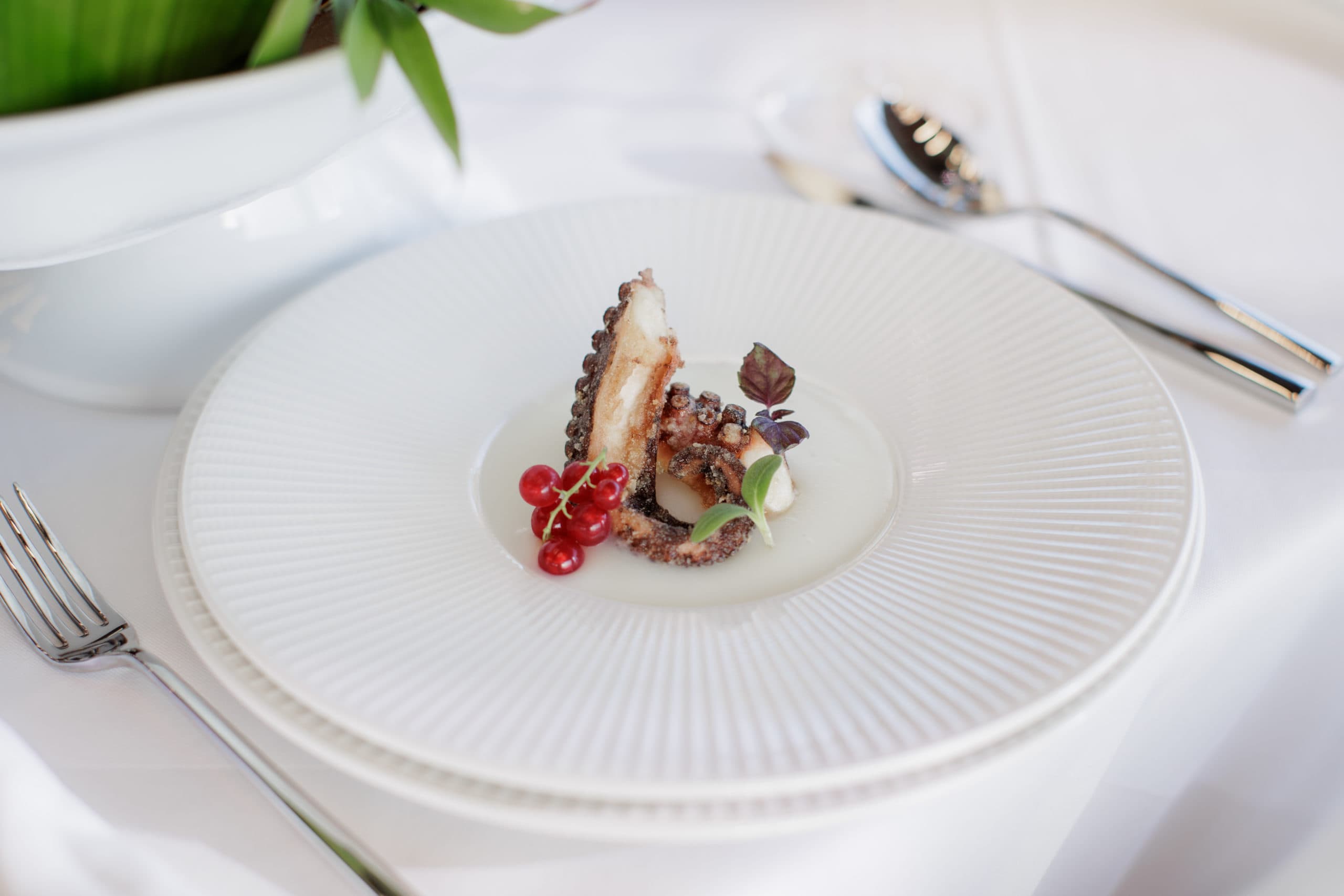 prado-5-star-restaurant-chefs_special_shrimp_dish_closeup